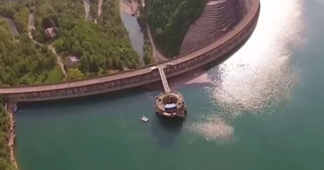 Conducătorul firmei de prelucrare a apei din Paltinu: S-au exercitat presiuni. De unde să furnizez apă, dacă nu mai există? Cineva trebuie să răspundă.