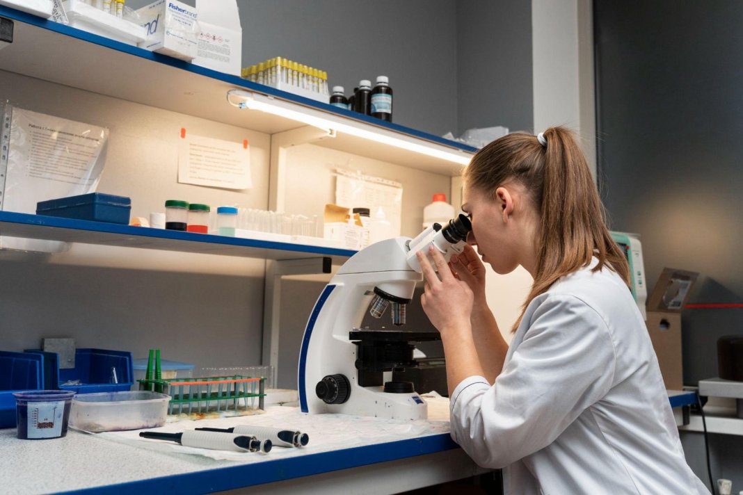 rezultatele analizelor medicale rezultatele analizelor medicale