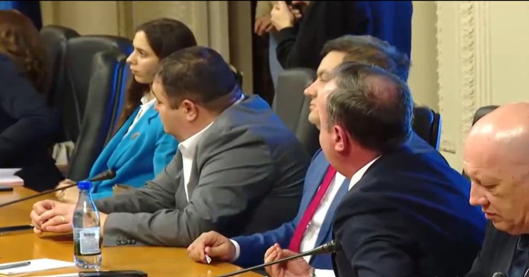 Scandal la audierea Oanei Țoiu, ministrul Afacerilor Externe: excese xenofobe în comisia parlamentară...