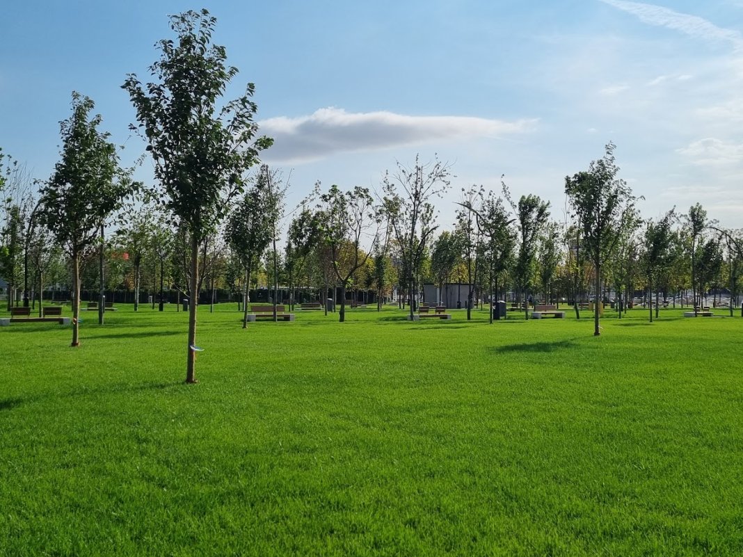 Daniel Băluță a anunțat că parcul recent creat din Sectorul 4 va fi denumit „Donald J. Trump”