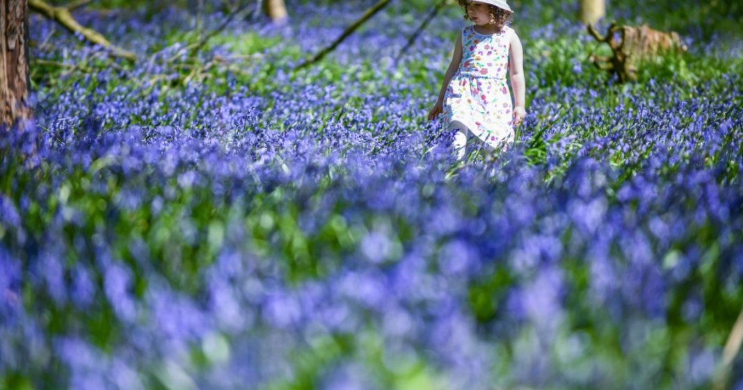 Prognoza meteorologică pentru săptămânile următoare: temperaturi mai ridicate decât cele obișnuite, conform specialiștilor în meteorologie.